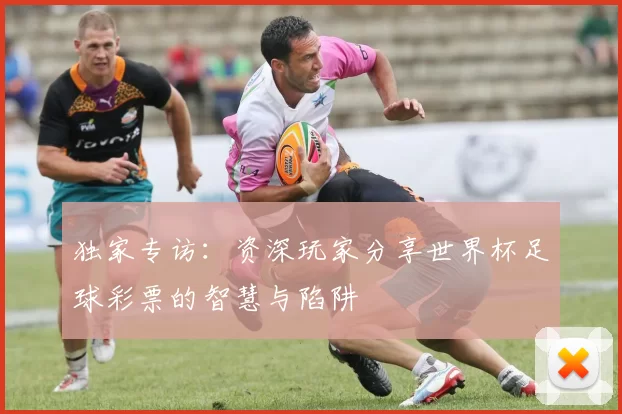 独家专访：资深玩家分享世界杯足球彩票的智慧与陷阱