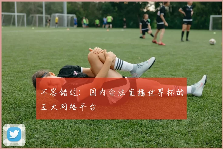 不容错过：国内合法直播世界杯的五大网络平台