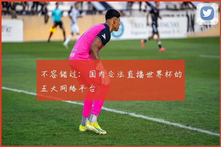 不容错过：国内合法直播世界杯的五大网络平台