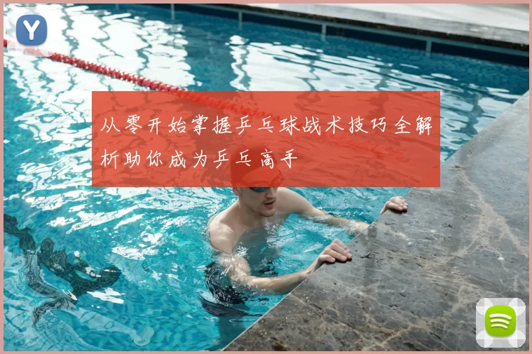 从零开始掌握乒乓球战术技巧全解析助你成为乒乓高手