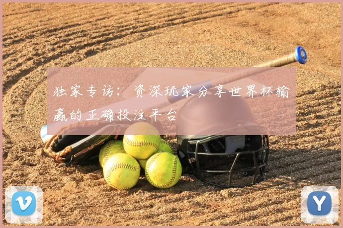 独家专访：资深玩家分享世界杯输赢的正确投注平台