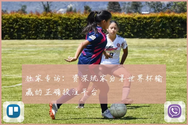 独家专访：资深玩家分享世界杯输赢的正确投注平台