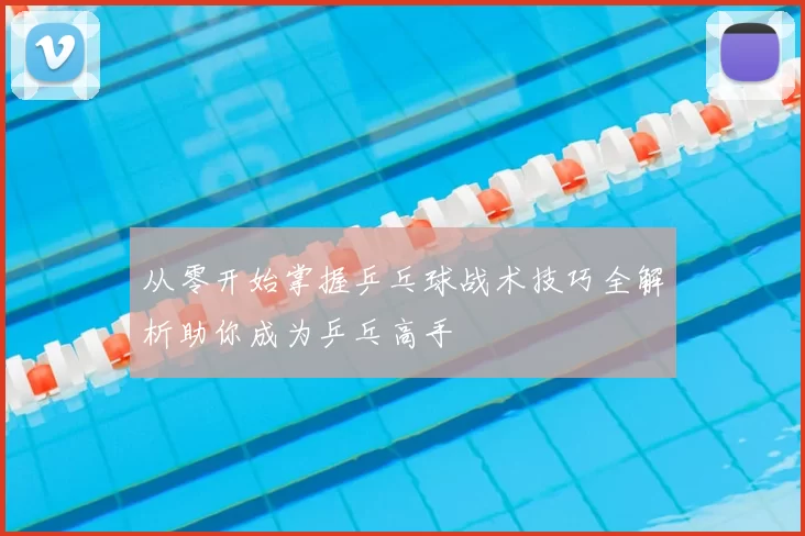 从零开始掌握乒乓球战术技巧全解析助你成为乒乓高手