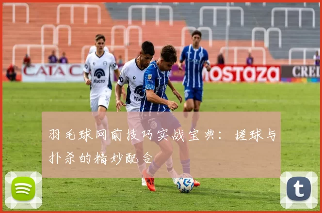 羽毛球网前技巧实战宝典：搓球与扑杀的精妙配合