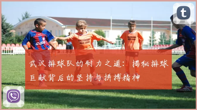 武汉排球队的耐力之道：揭秘排球巨献背后的坚持与拼搏精神