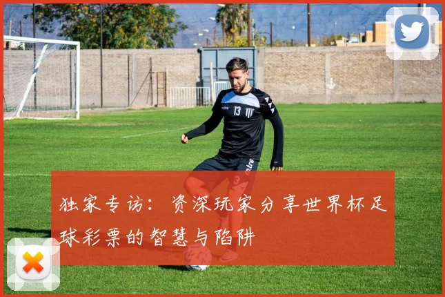 独家专访：资深玩家分享世界杯足球彩票的智慧与陷阱