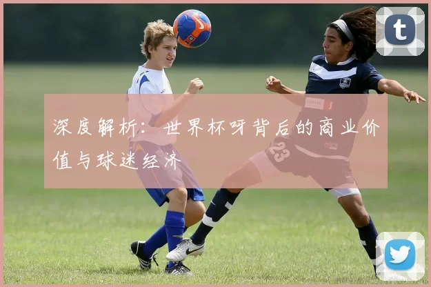 深度解析：世界杯呀背后的商业价值与球迷经济